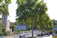 Cliquez sur la vignette pour l'agrandir